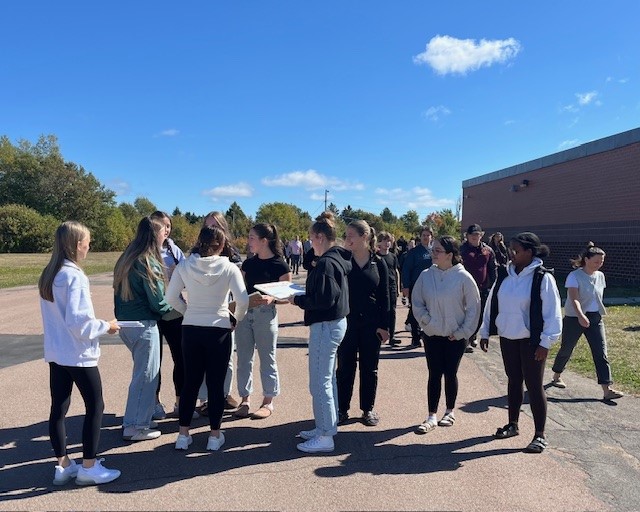 Marche Terry FOx 2025 2